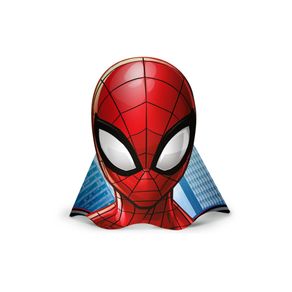 Chapeu Spider Man Animacao C/12 Regina